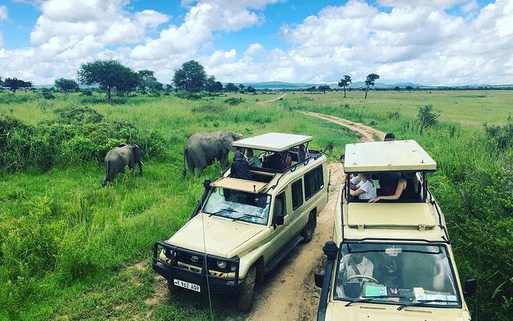 سيارة  سفاري  في محمية ميكومي ليوم واحد